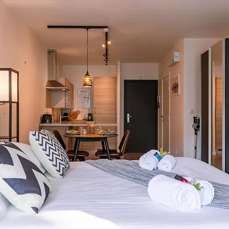 Apartment Completely Renovated Studio Located In